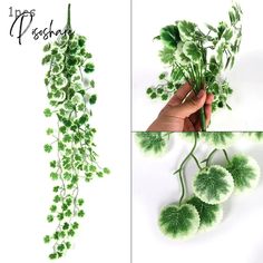 Wisteria/Rose/Eucalyptus Artificial Flowers Vine Garland Wedding Arch Decoration Fake Roses Hanging Ivy Wreath, Artificial Succulent Arrangements, Wreath Wall Decor, Artificial Plants And Trees, Foliage Wedding, Eucalyptus Garland, Arch Decoration Wedding, Green Ivy, Wedding Wall Decorations