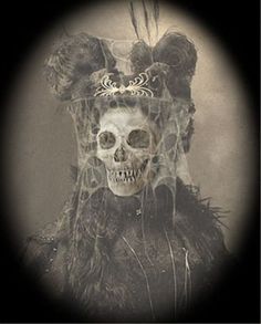 a skull with feathers on it's head and an elaborate hair piece in the middle