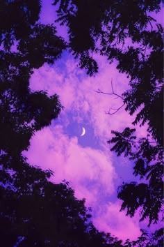 the moon is seen through some trees at dusk in this photo taken from ground level