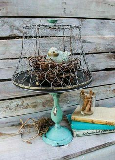 a bird's nest sitting on top of a table next to books