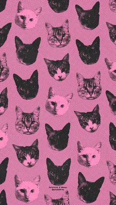 a pink background with black and white cats on it's face in the middle