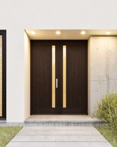 the front entrance to a modern house with two large doors and sidelights on either side