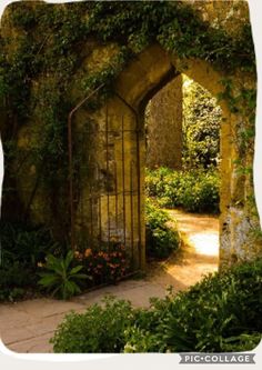 an archway in the middle of a garden