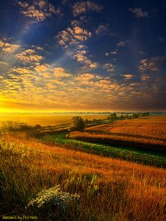 the sun shines brightly over an open field with trees and bushes in the foreground