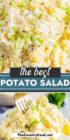 the best potato salad recipe is made with potatoes, celery and mayonnaise