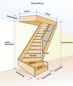 an image of a stair case labeled in different parts of the body and part of its structure