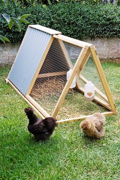 two chickens are in the grass next to a chicken coop