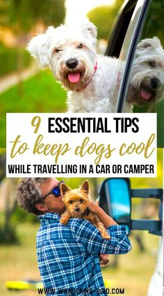 9 Essential Tips to Keep Dogs Cool While Travelling in a Car or Camper Road Trip On A Budget, Road Trip With Dog, Dog Travel Accessories, Long Journey, Road Trip Hacks, Road Trip Planning, Road Trip Essentials, Summer Road Trip, In A Car