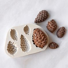 some pine cones are sitting on a white tray and next to them is a chocolate molder