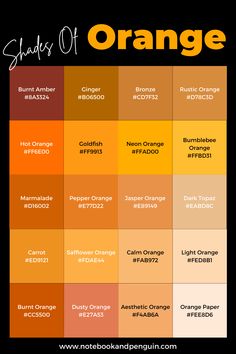 the shades of orange are shown in this graphic style, which includes different colors and sizes