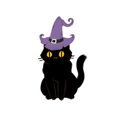 a black cat with a purple hat on it's head is sitting in front of a white background