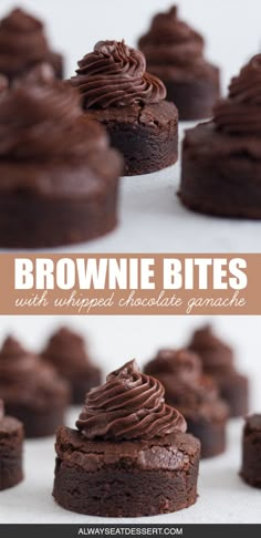 chocolate brownie bites with whipped chocolate ganache