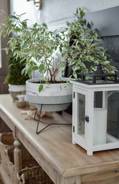 a table topped with potted plants and a white lantern on top of the table