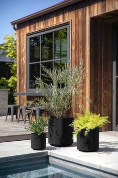 two black planters sitting next to a pool in front of a wooden building with windows