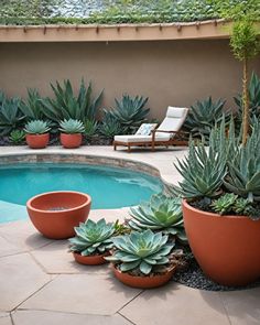 a pool surrounded by potted plants and chairs