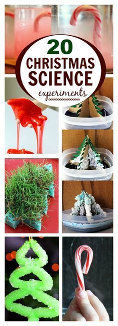 20 MAGICAL CHRISTMAS SCIENCE EXPERIMENTS FOR KIDS Green Classroom, Homeroom Mom, Science Experiment For Kids, Experiment For Kids