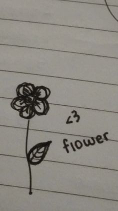 a drawing of a flower on lined paper with the number twenty and three flowers below it