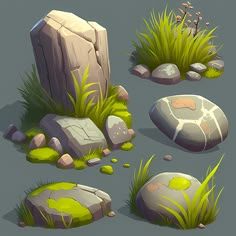 some rocks and grass on the ground