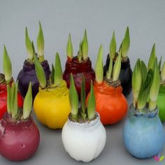 there are many different colored vases with plants in them