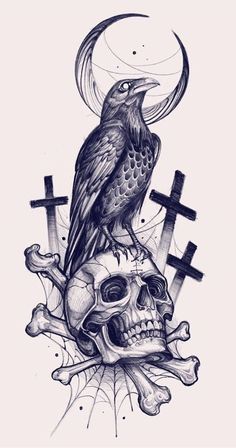 a drawing of a bird sitting on top of a skull with crosses and cross bones