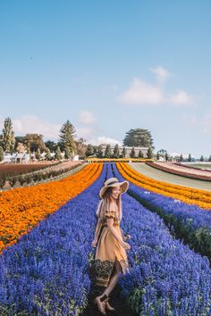 a woman wearing a hat standing in a field of flowers