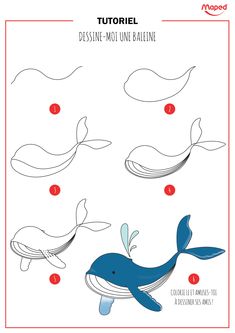 the instructions for how to draw a blue whale with different shapes and sizes, including its tail