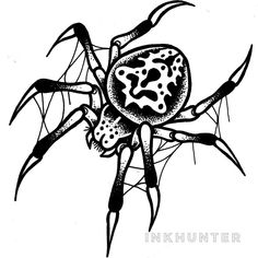 a black and white drawing of a spider with spots on it's back legs