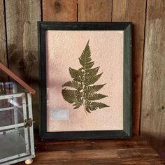 a framed fern leaf is on a shelf next to a small glass lantern and wood paneled wall