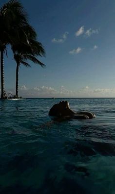 a man laying on top of a swimming pool next to a palm tree in the ocean