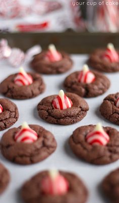 chocolate cookies with candy canes in the middle