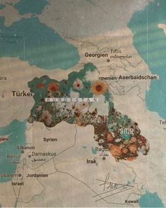 a map with different countries on it and flowers in the middle one is green, brown, and white