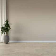 a potted plant sitting on top of a hard wood floor next to a white curtain