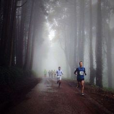 two men running down a trail in the foggy woods with trees on either side