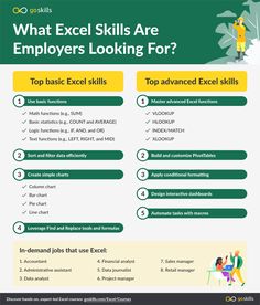 an info sheet describing what excel skills are for employees looking for in the top job