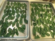 two pans filled with green leaves on top of a counter