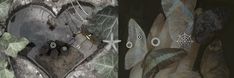 two images show the inside of a heart with leaves and moths on it, while another image shows an insect's wings