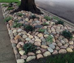 a rock garden in the shape of a heart next to a tree on a sidewalk