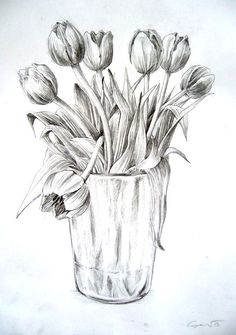 a pencil drawing of flowers in a vase