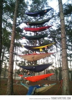 there are many hammocks hanging in the trees