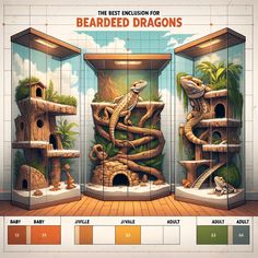 the best enclosure for bearded dragones is shown in this graphic art printable version