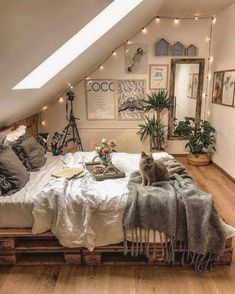 a cat sitting on top of a bed in a room with wooden floors and white walls