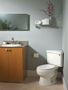 a white toilet sitting next to a wooden sink vanity in a bathroom under a mirror