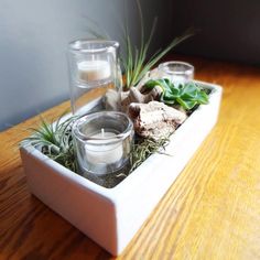 two candles are sitting in a white container with plants and rocks on the table next to it