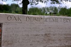 a cement bench with writing on it in front of a tree and grassy area behind it