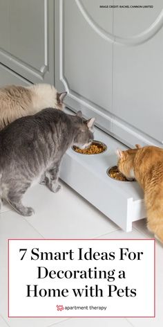 three cats eating food out of their bowls on the floor with text overlay that reads, 7 smart ideas for decorating a home with pets