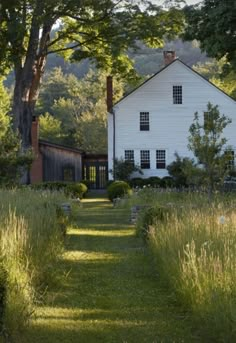 a white house surrounded by tall grass in front of trees and bushes on either side of the path