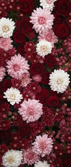 many pink and white flowers are arranged together