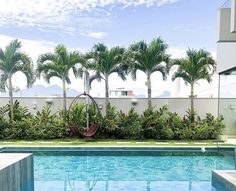 an empty swimming pool surrounded by palm trees