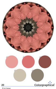 an image of a pink flower in the middle of color swatches with text below it