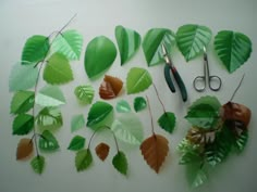 scissors and some green leaves on a white wall with other items hanging from it's sides